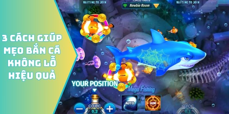 3 cách giúp mẹo bắn cá không lỗ hiệu quả