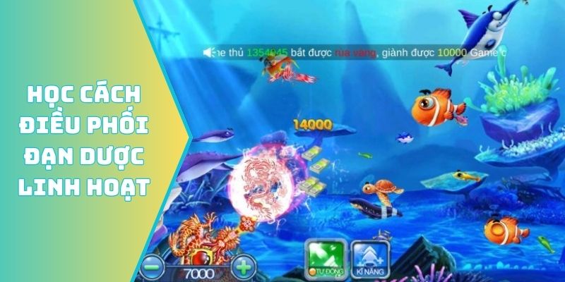 Học cách điều phối đạn dược linh hoạt