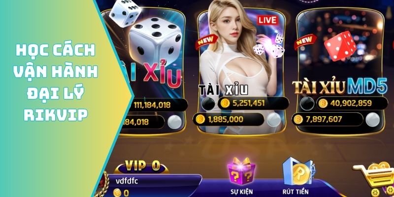 Học cách vận hành đại lý Rikvip đỉnh của chóp